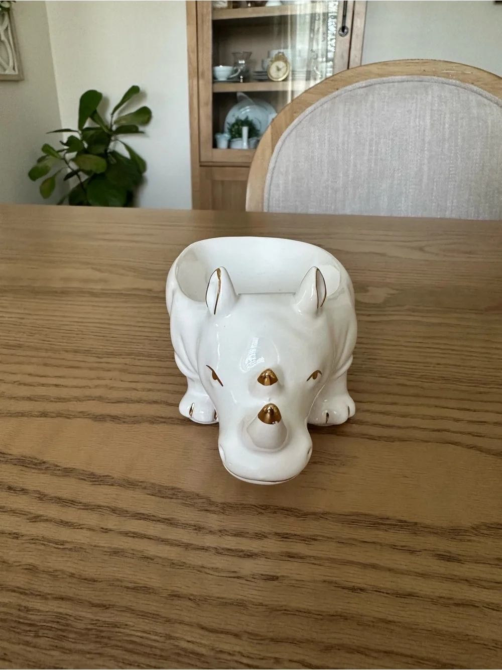 Pier 1 white ceramic